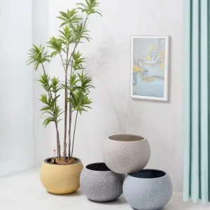 Indoor Self-Watering Planters for Houseplants