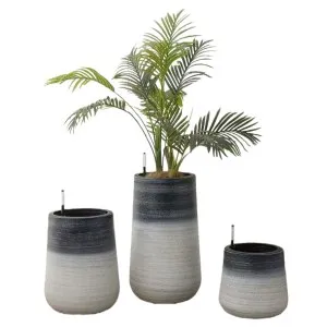 Large Self-Watering Containers for Shrubs & Small Trees