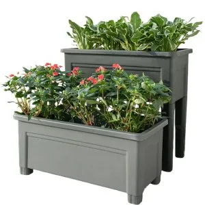 Self-Watering Vegetable Planters for Container Gardening