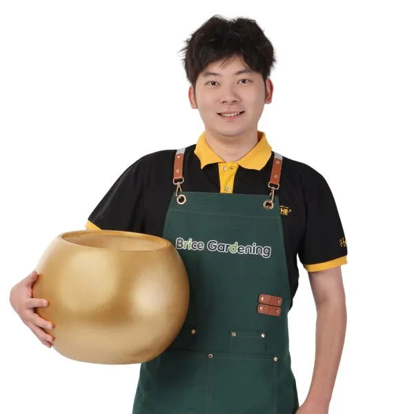 Brice Gardening Self-Watering Planter