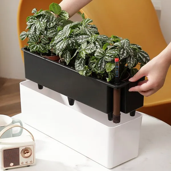 self watering planter structure