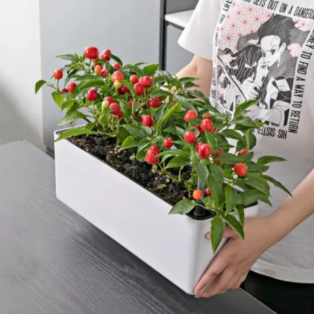 Self-watering window sill planters