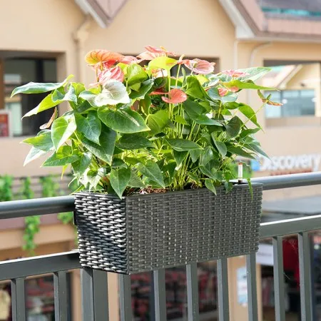 Railing-Mounted Window Boxes