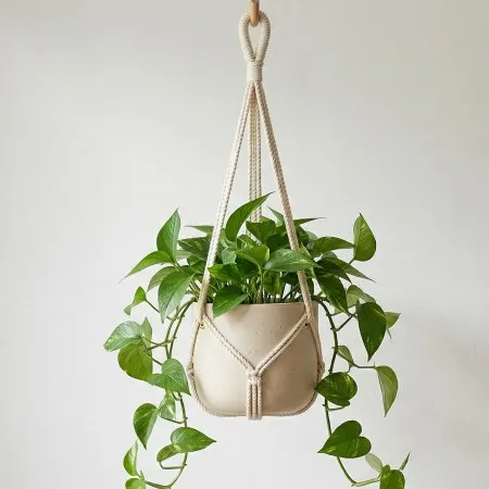 Hanging planter showing suspension and filled weight considerations
