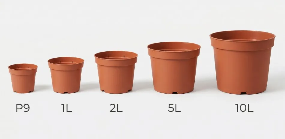 Lineup of common nursery pot sizes from P9 to larger litre pots