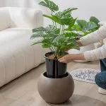Indoor planters