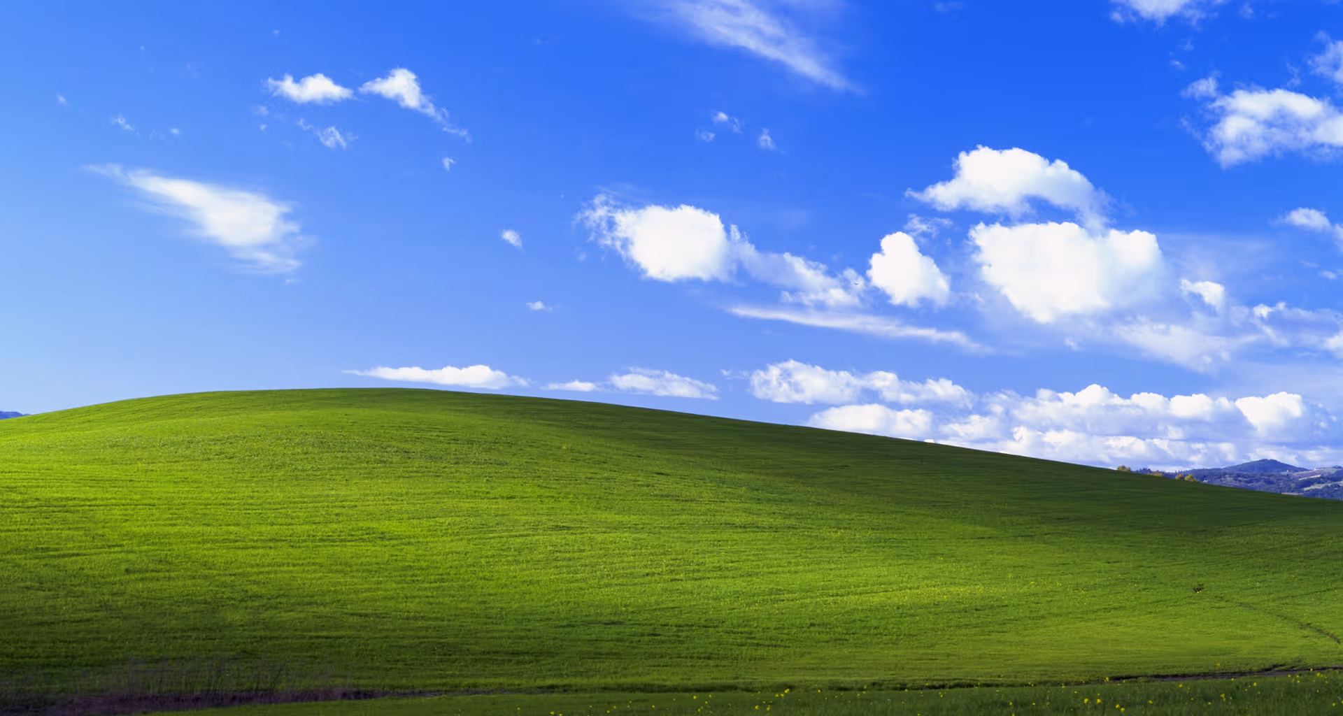 Window XP Default Background