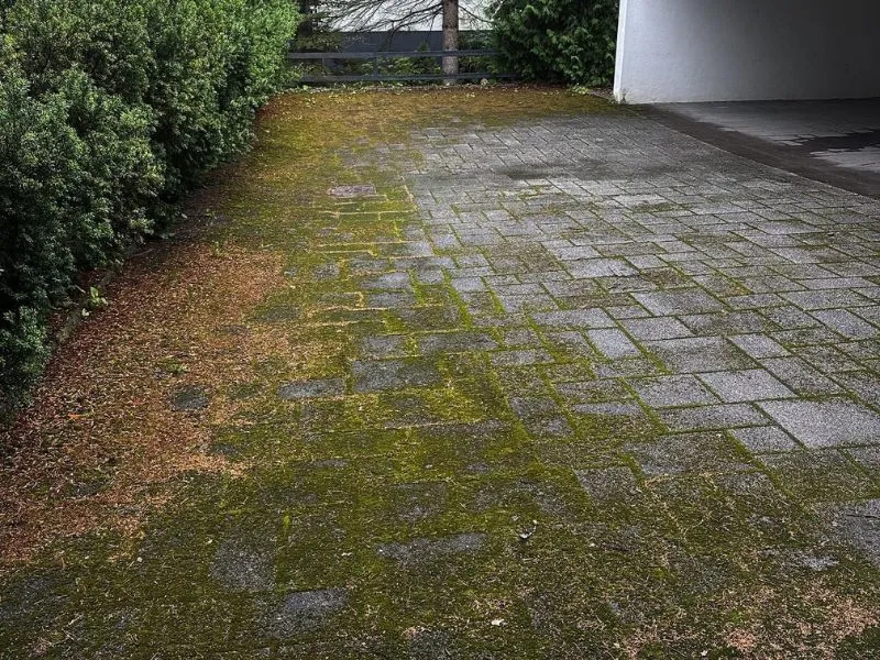 Sammaleen poisto pihalaatoilta