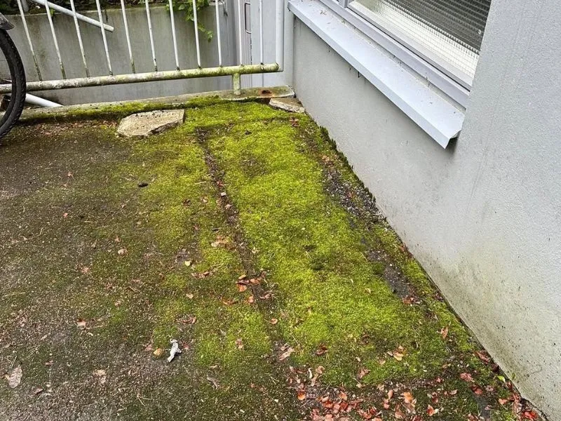 Sammaleen poisto asfaltilta