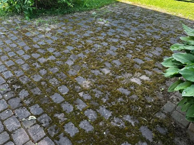 Sammaleen poisto pihalaatoilta