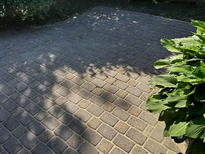 Sammaleen poisto pihalaatoilta