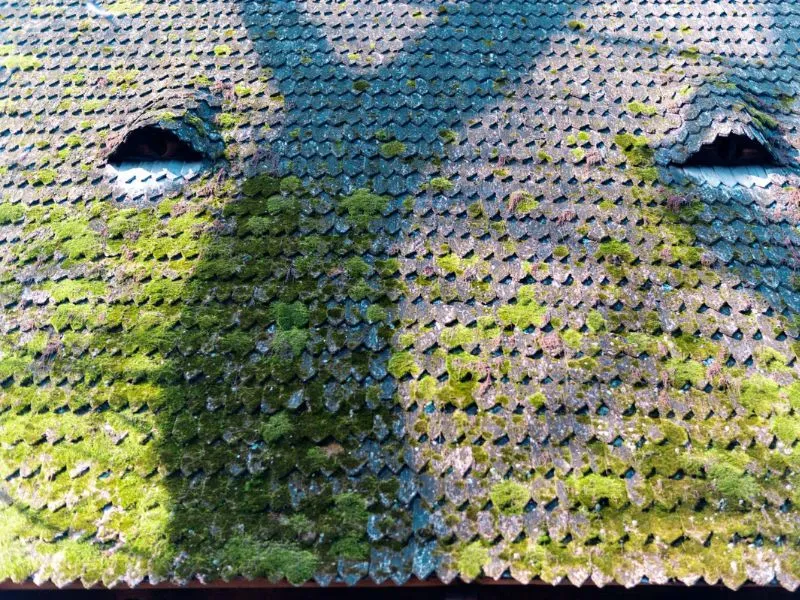 Sammaleen poisto huopakatolta