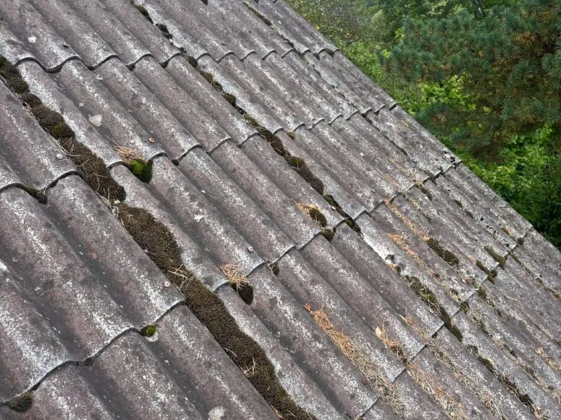 Sammaleen poisto tiilikatolta