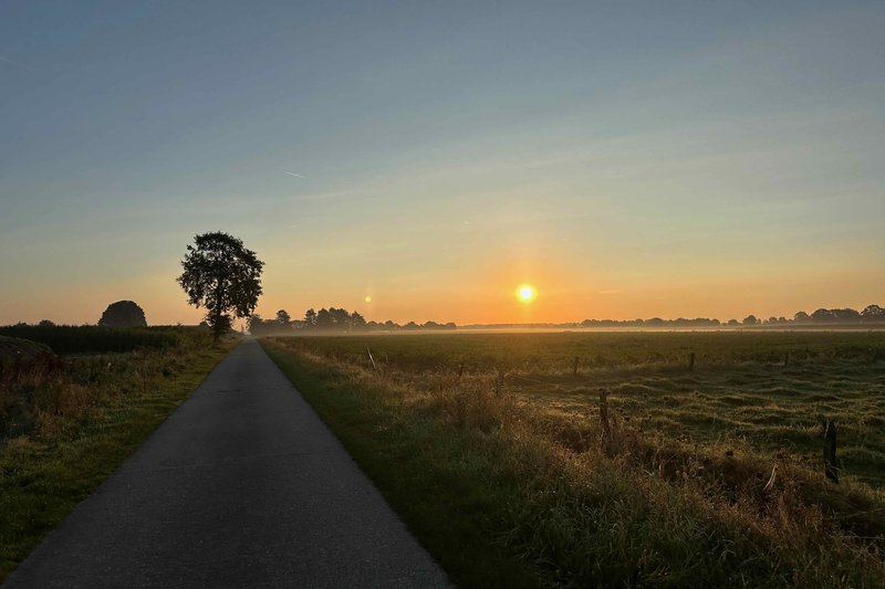 Het pad der daadkrachtige geleidelijkheid