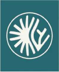 Logo Lumencraft pixellisé représentant une forme organique abstraite, avant vectorisation, montrant la perte de netteté d’un fichier basse résolution.