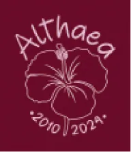 Illustration d’hibiscus floue et pixellisée avec le texte Althaea 2010–2024, montrant la perte de qualité d’un visuel raster.