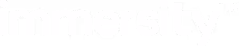 Immersity AI