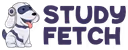 StudyFetch