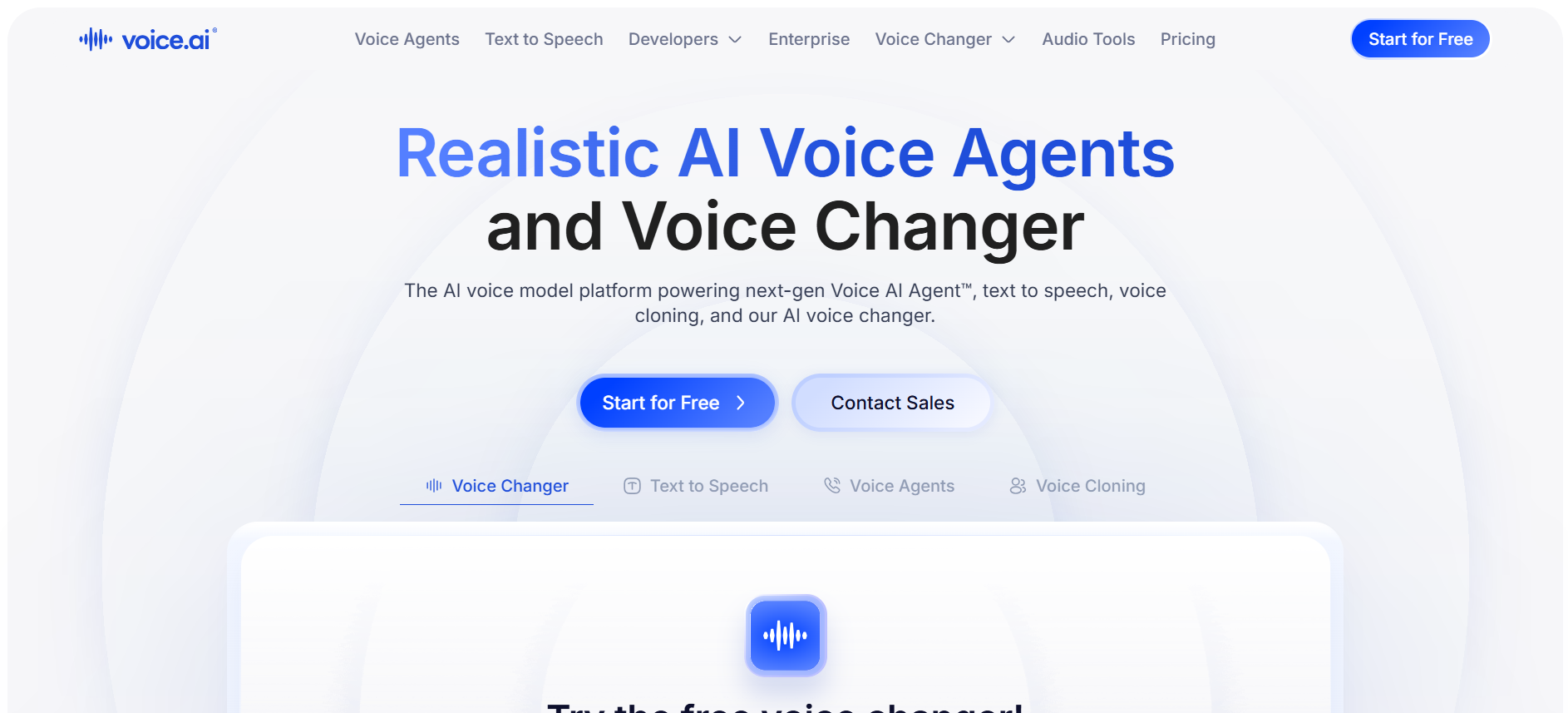 Voice AI