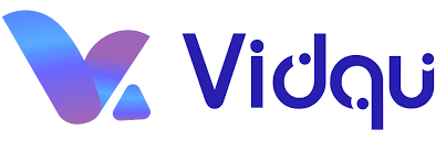 vidqu ai