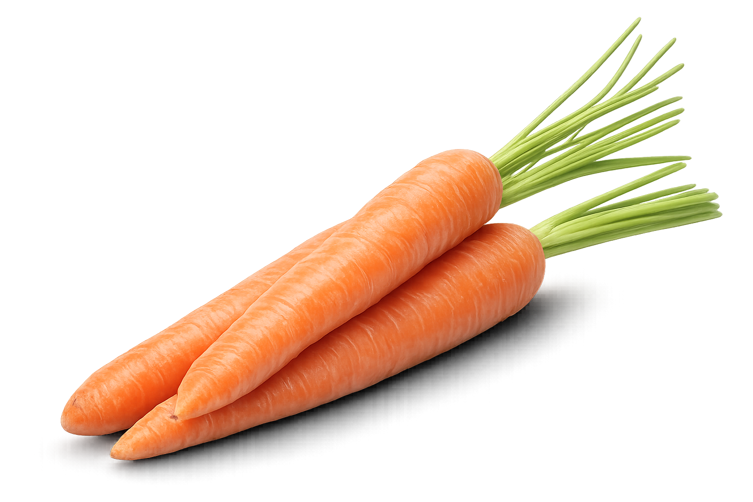 Carrot