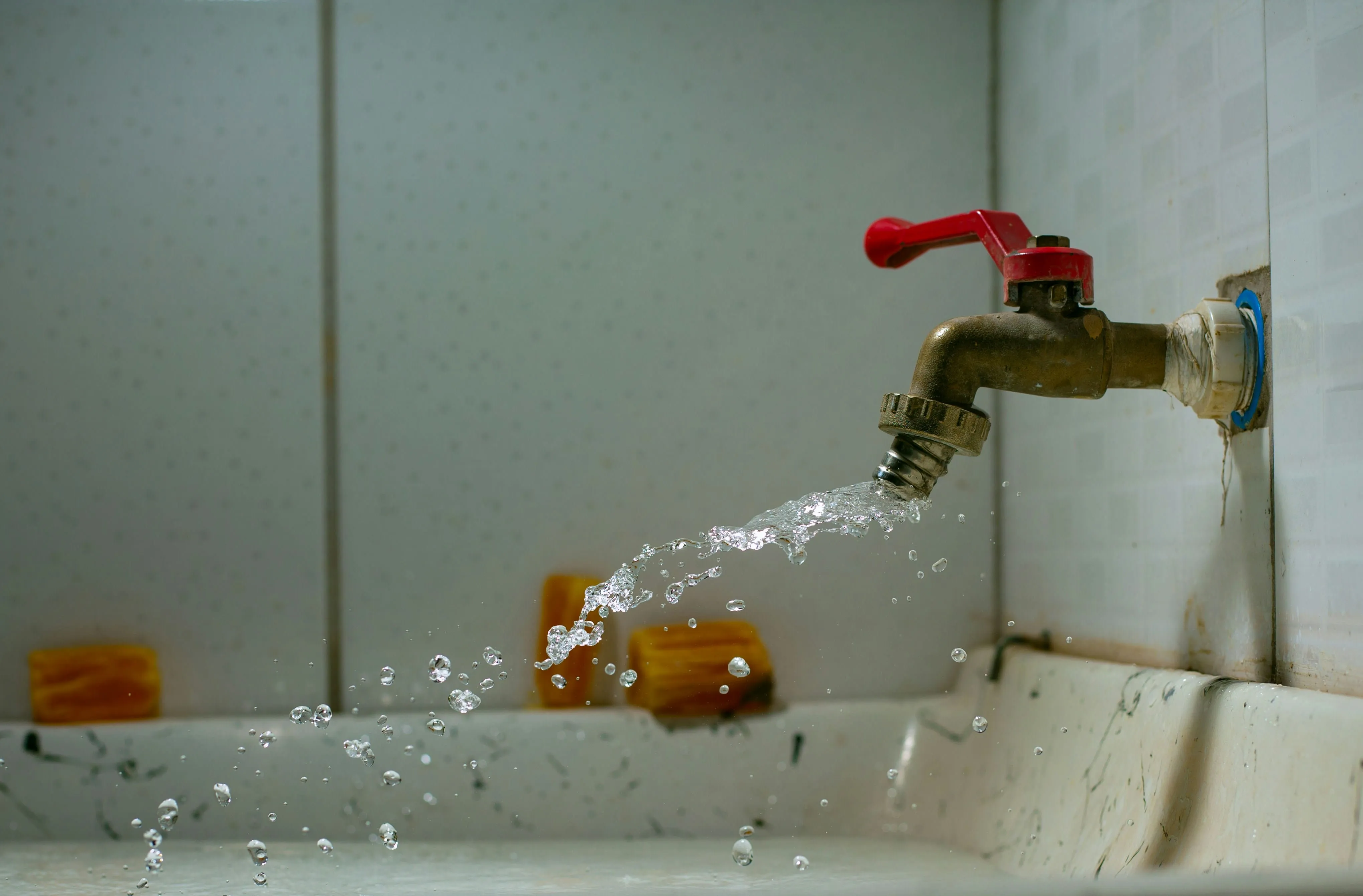 Common Issues Our Plumbers Fix for Homeowners
