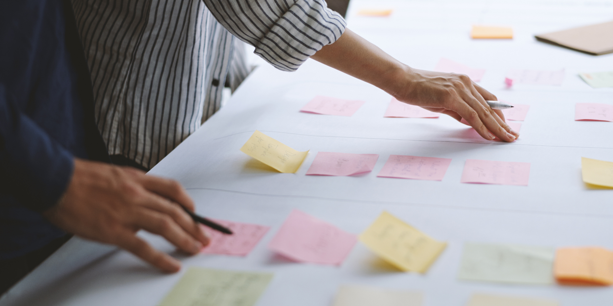 Your Complete CBDA/CDAA Certification Roadmap
