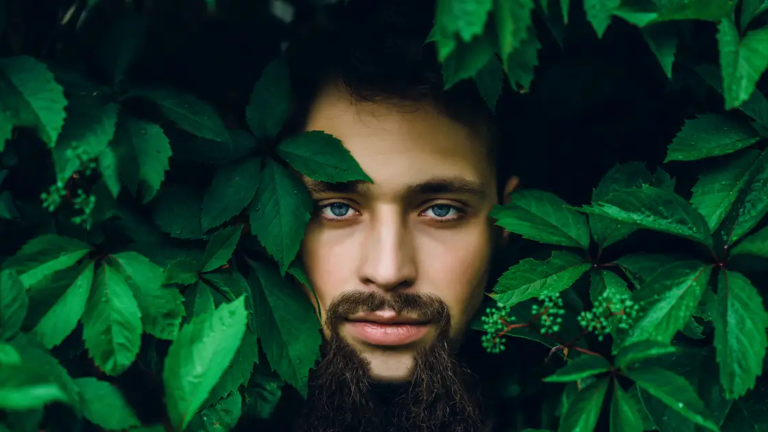 Web Design Biomimetico: quando la Natura ispira l'Interfaccia utente