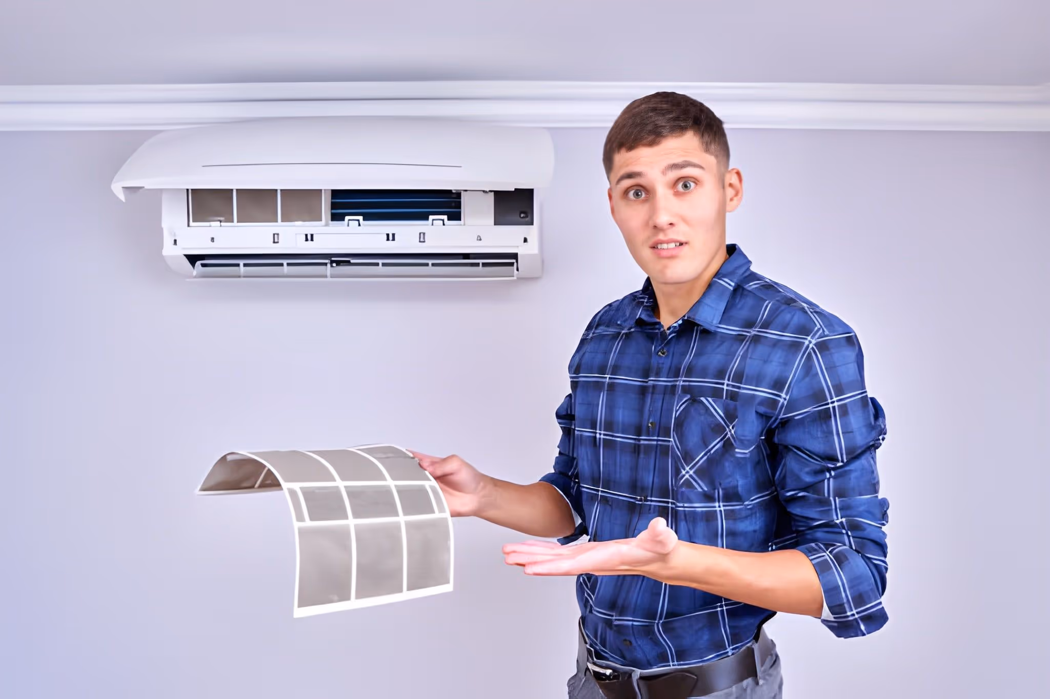 Mini-Split Replacement in Princeton, NC