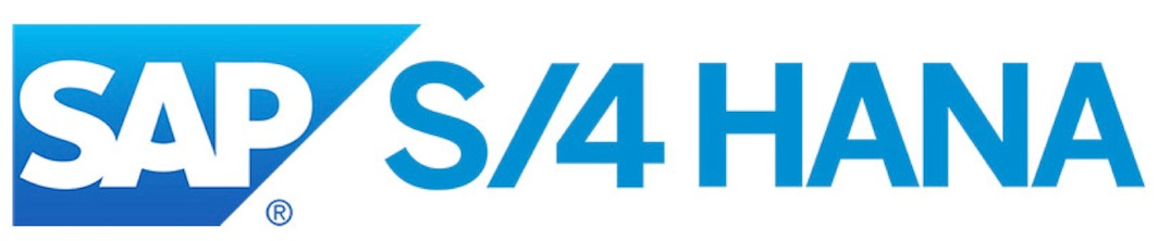 SAP ERP/S4