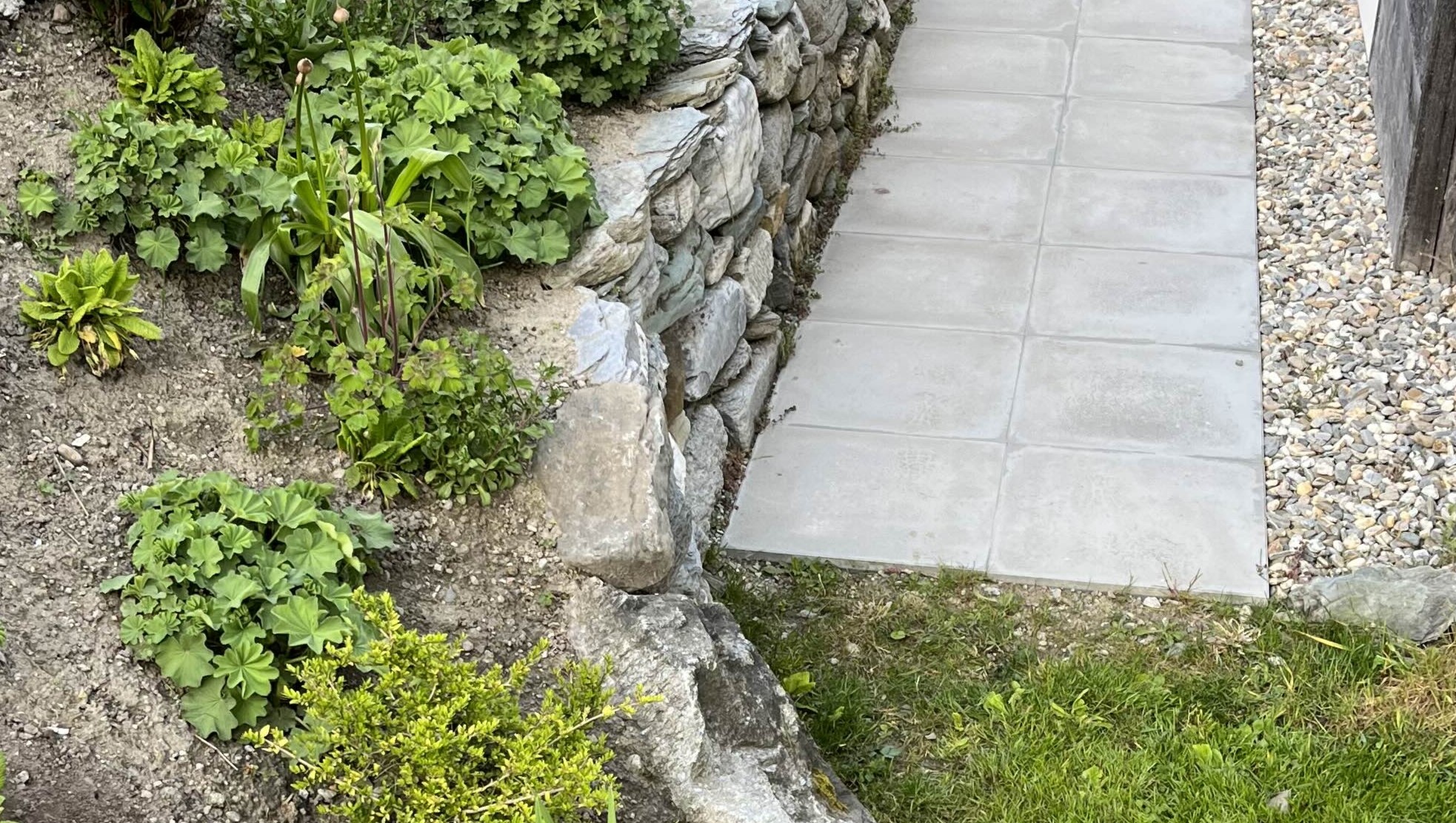 Plattenweg mit Natursteinmauer und Rabatte