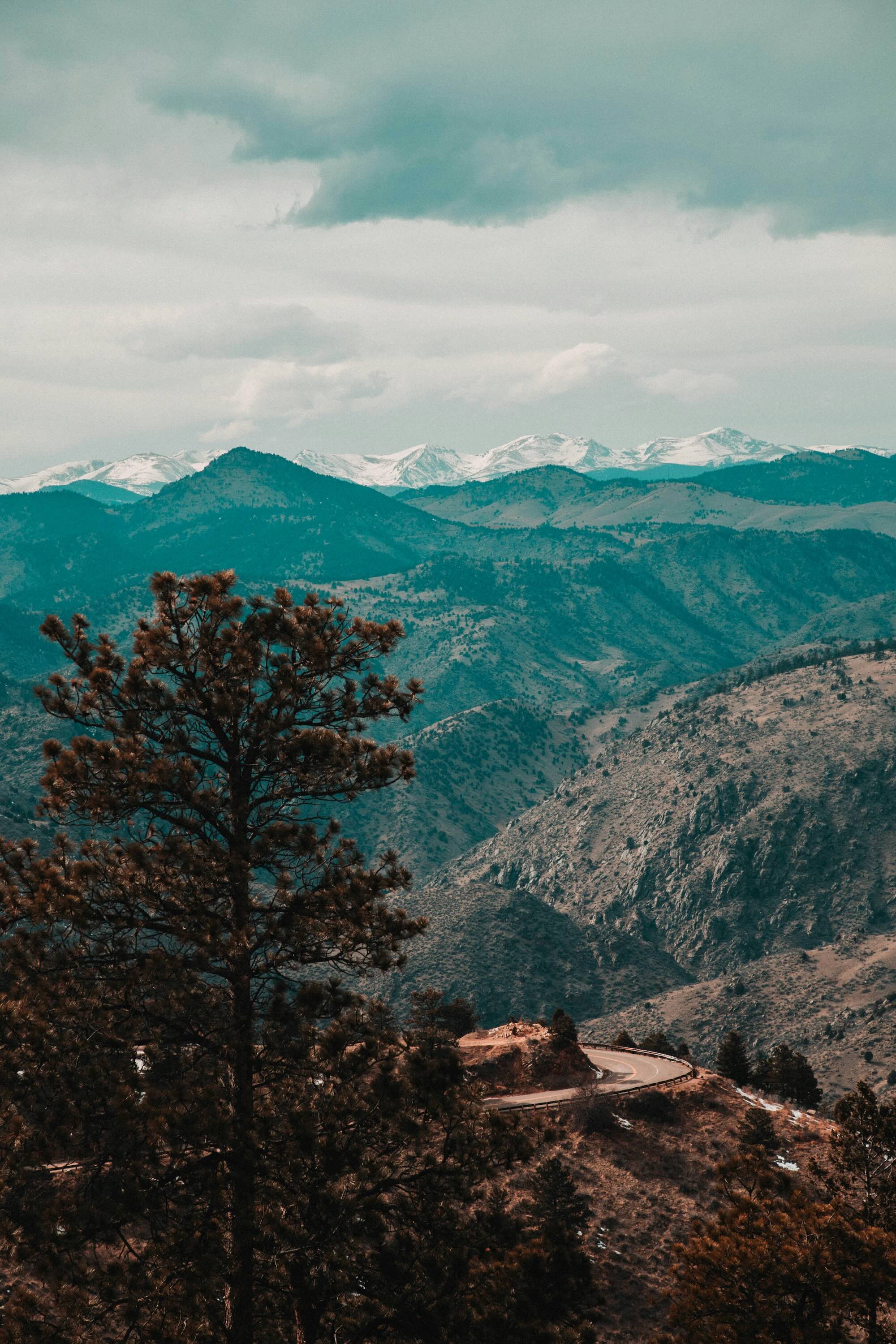Winding mountain road through pine-covered foothills with distant snow-capped peaks under cloudy sky.