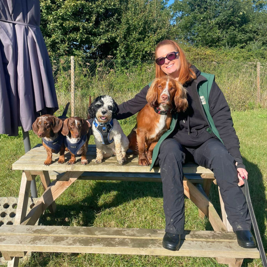 Stock doggy day care - Hannah, our day care staff, sits on a picnic bench with three small dogs, enjoying a sunny day outdoors with trees in the background.