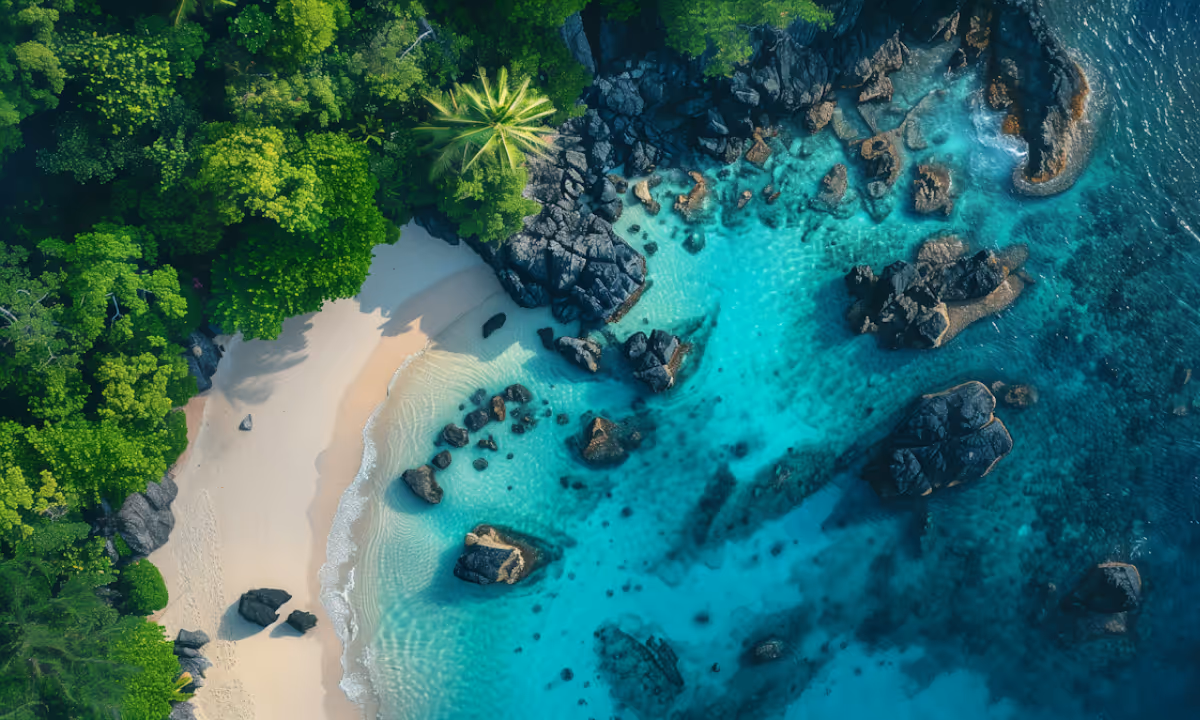 Aerial View of a Tropical Beach