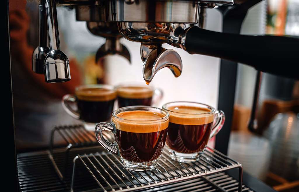 Single Gallery Image