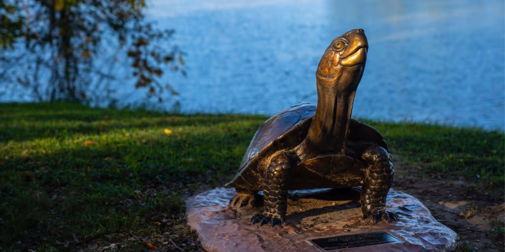 Bronze turtle statue on a rock by a grassy bank near a body of water.