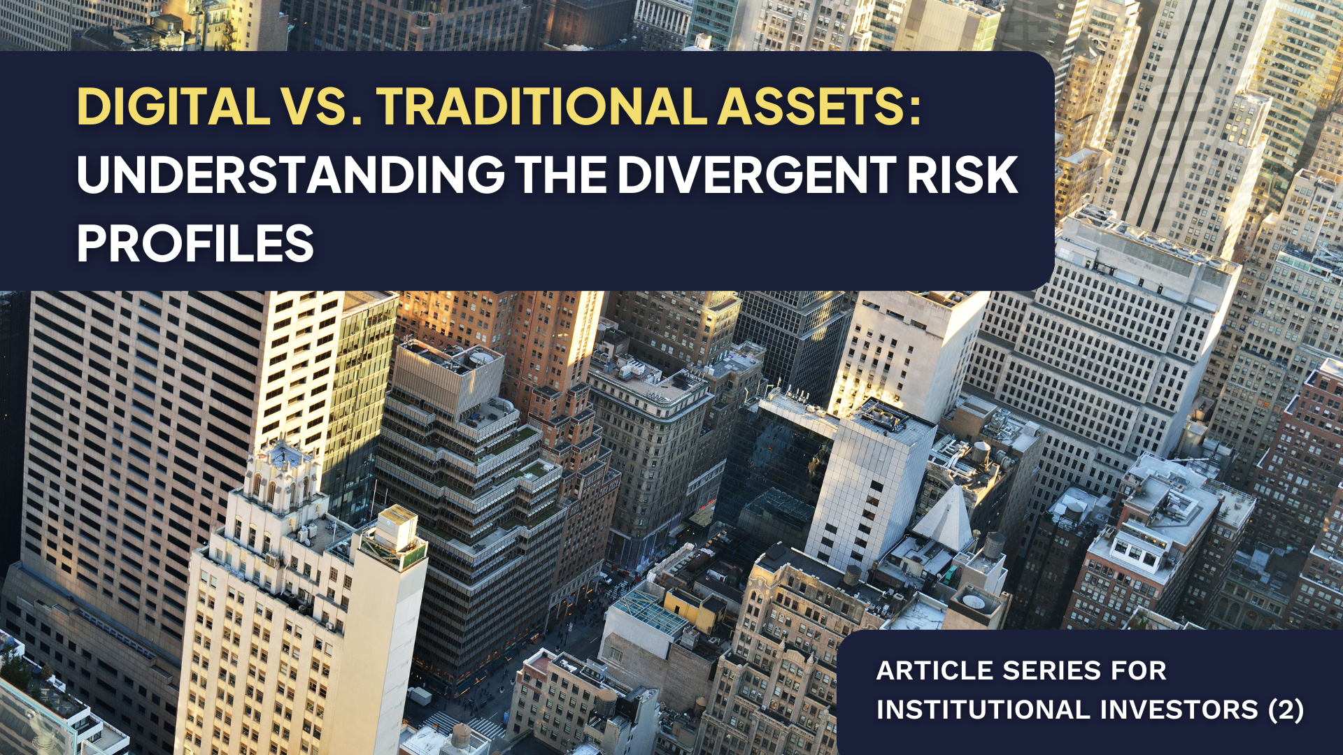 Digital vs. Traditional Assets: Understanding the Divergent Risk Profiles