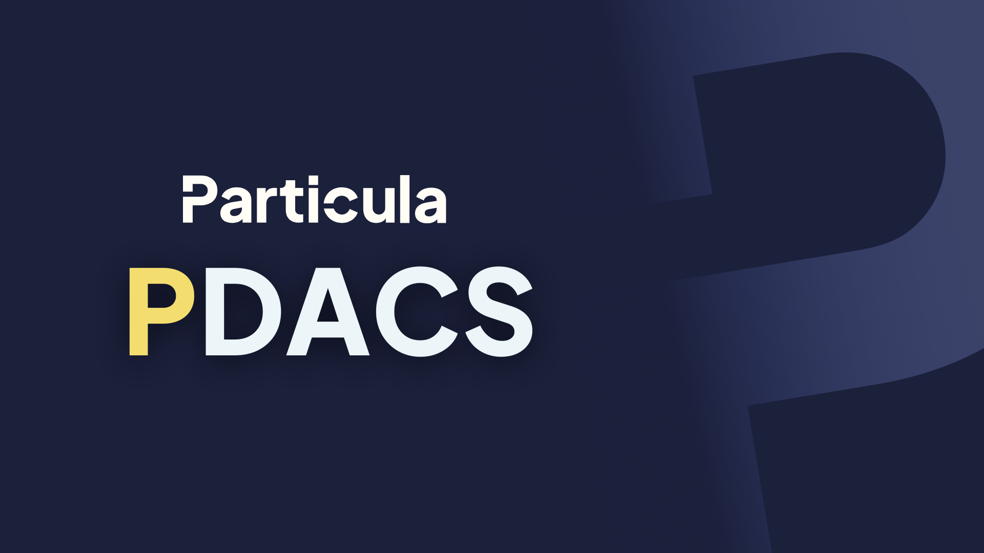 Particula Digital Asset Classification System (PDACS)