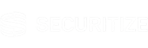 Securitize