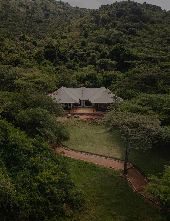 A serene tented camp nestled in lush greenery, representing the Olderkesi Conservancy in Kenya’s Maasai Mara, where Cottar’s 1920s Camp blends vintage style with modern comfort and privacy