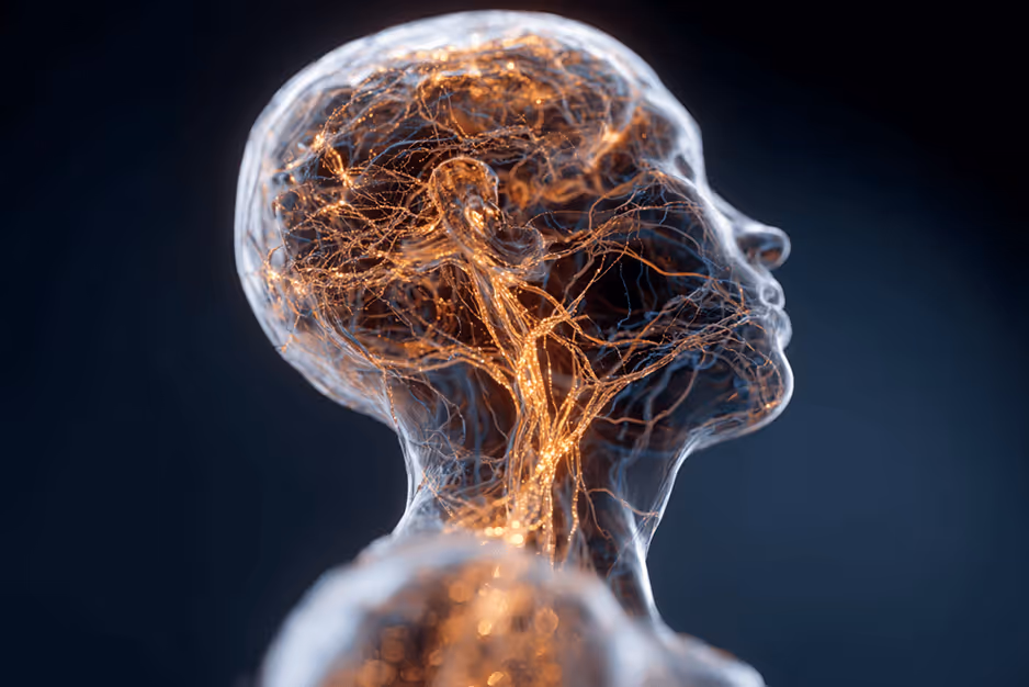 Translucent human head showing glowing neural network and brain connections