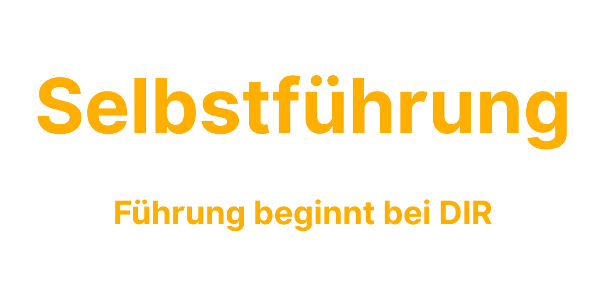 Text in orangefarbener Schrift auf schwarzem Hintergrund: ‚Selbstführung‘ und darunter ‚Führung beginnt bei DIR‘.