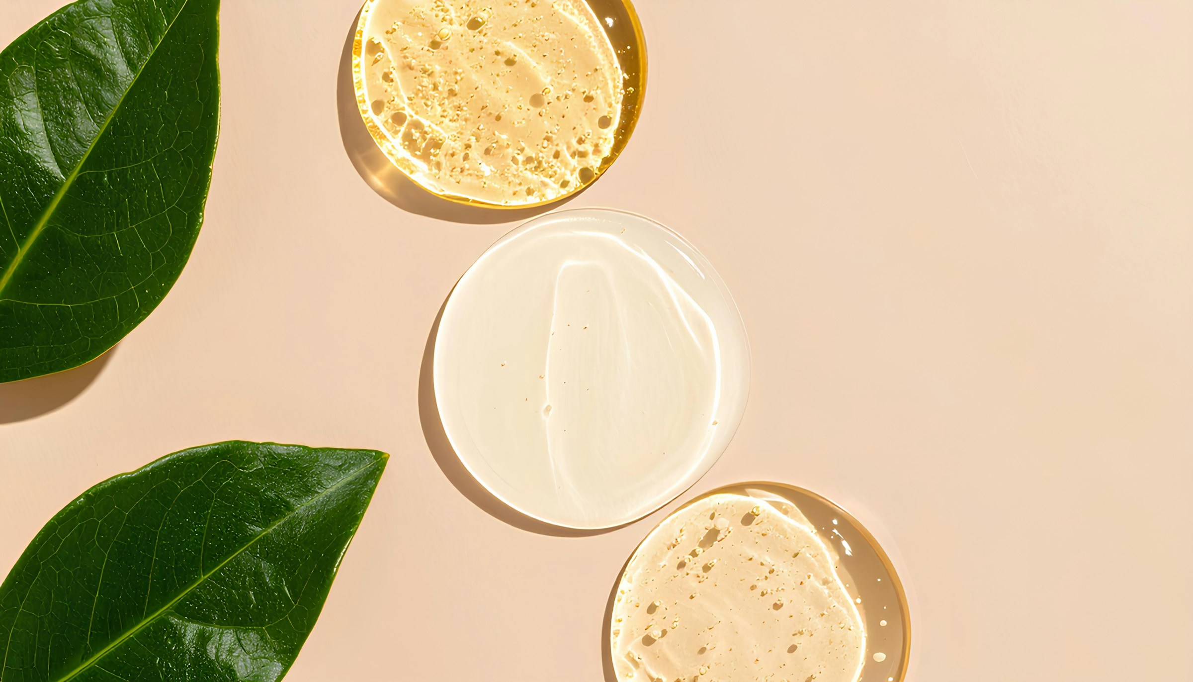 Plant leaves, cream and facial oil arranged for a vegan skincare label guide