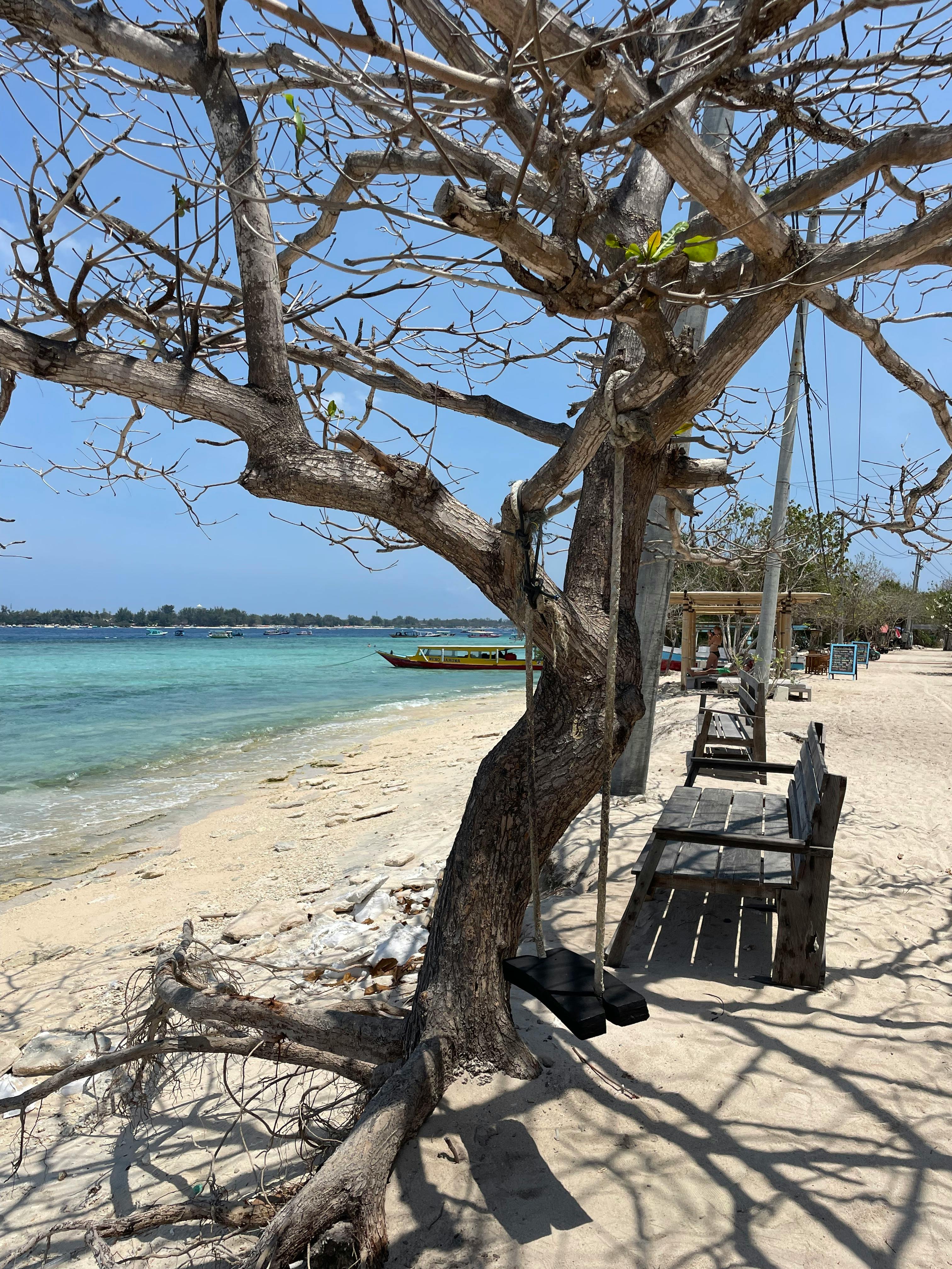 image of luxury travel experiences (tropical beach resort)