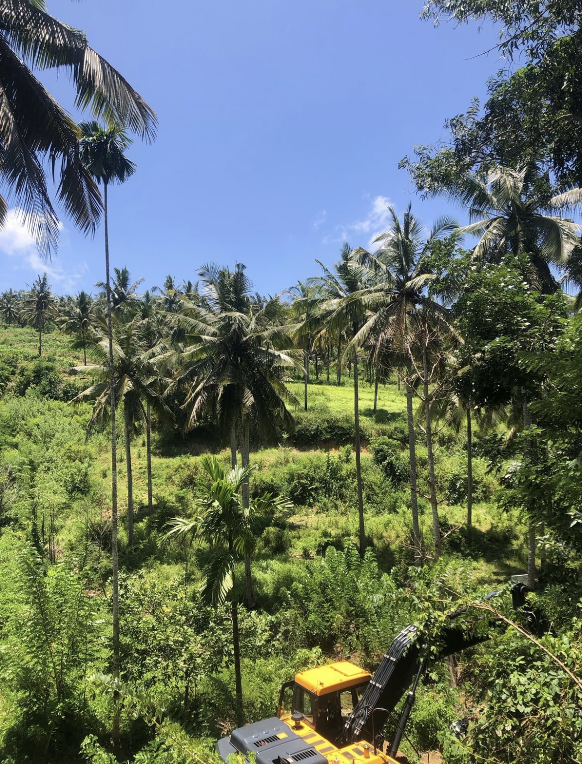 image of an elegant travel brochure