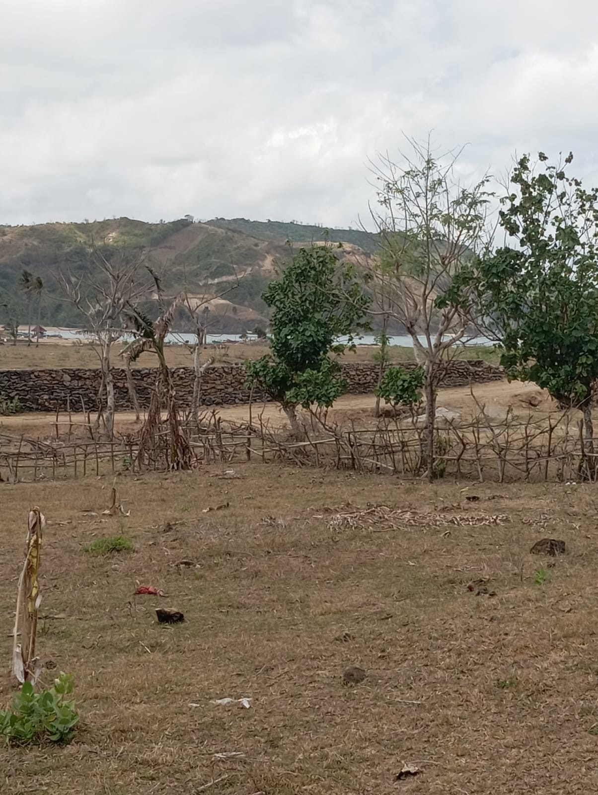 image of package tracking interface [interface scenario 3]