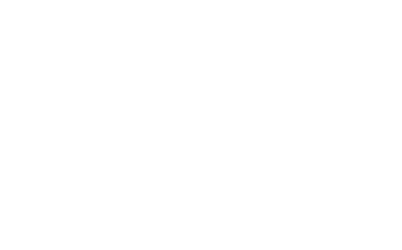 news logo