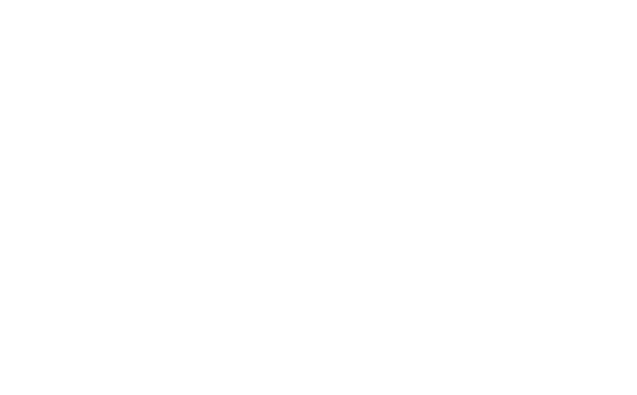 news logo