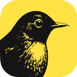 Bïrch (Formerly Revealbot)