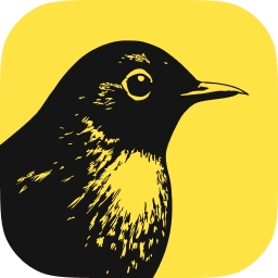 Bïrch (Formerly Revealbot)